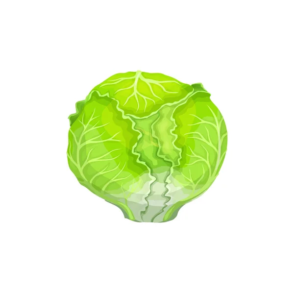 Cartoon Iceberg Salade Légumes Laitue Récolte Agricole Nourriture Végétarienne Récolte — Image vectorielle