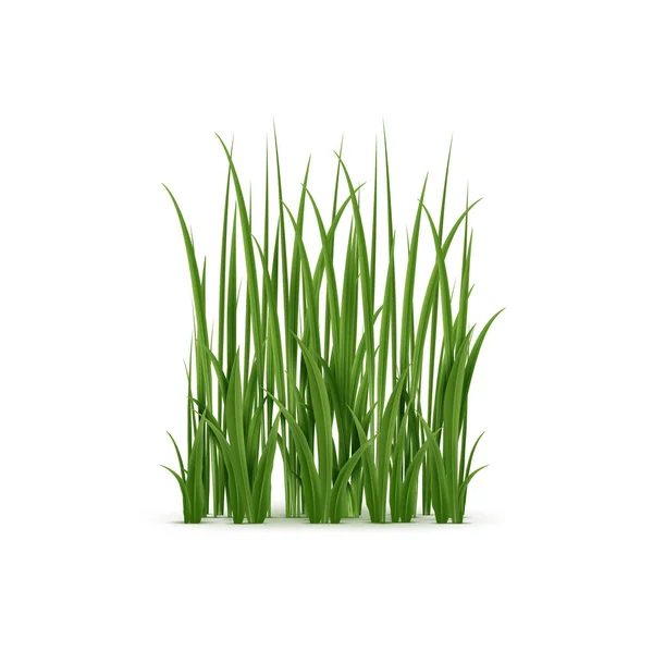 Realistisches Gras Sattgrüne Halme Mit Weicher Textur Isolierte Vektorbodenabdeckung Bietet — Stockvektor