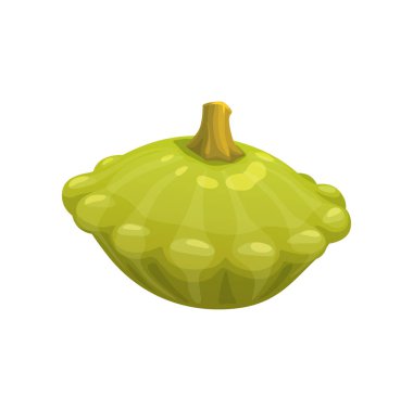 Çizgi film çiğ kabak, vektör sebze yemeği. Taze yeşil yaz ya da beyaz çizgili ve deniz tarağı kenarlı sebzeli sebze ezmesi. Terkedilmiş olgun köfte tavası sebzesi.