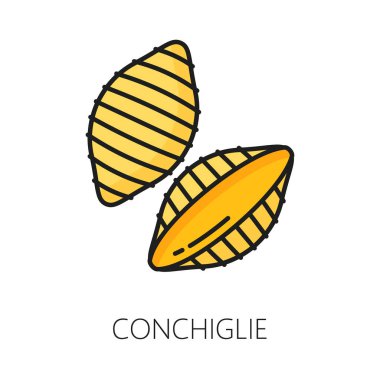 Conchiglie makarnası kurutulmamış İtalyan mutfağı. Ham organik kabuklu makarna rengi taslak simgesi. Geleneksel İtalyan deniz kabuğu makarnası