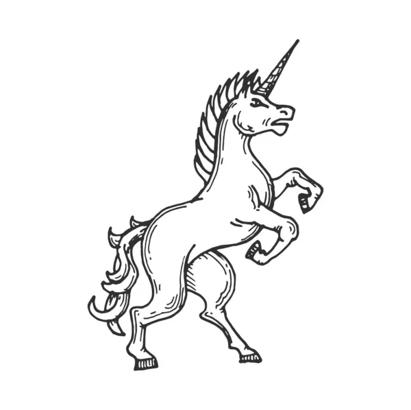 Jednorožčí Středověká Heraldická Zvířecí Kresba Vektorová Královská Heraldika Ručně Tažený — Stockový vektor