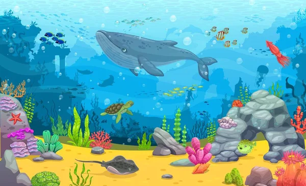 Zeichentrick Unterwasserlandschaft Blauwal Fischschwärme Und Meerestiere Zwischen Algen Vektorhintergrund Für — Stockvektor