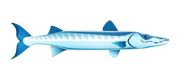 Cartoon Barracuda Sea Animal Isolated Vector Sleek Formidable Predatory Creature — Stock Vector