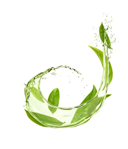 Green Tea Leaves Water Splash Drops Drink Vector Realistic Background — Stock Vector