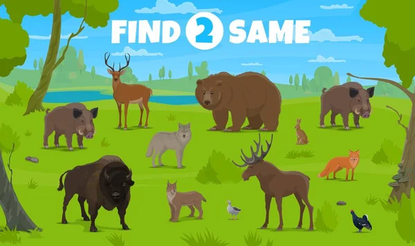Find Two Same Forest Animals Kids Game Quiz Worksheet Vector — Stock Vector