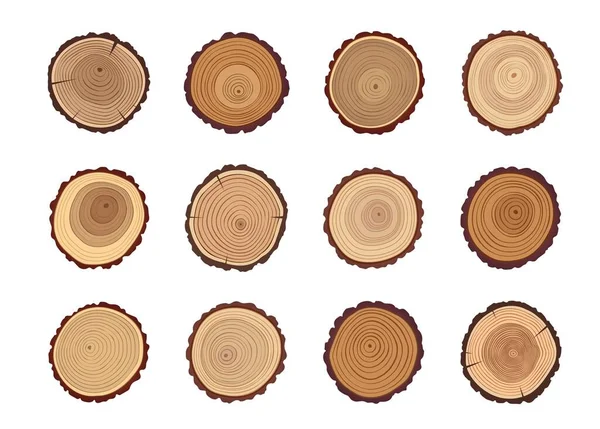 Tree Trunks Wood Cut Stumps Texture Circles Annual Growth Rings — Stock Vector