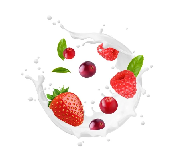 Milk Swirl Wave Splash Raspberry Strawberry Cranberry Berries Milky Beverage — Stock Vector