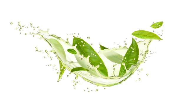 緑茶ドリンク スワールドスプラッシュ 葉と滴 3Dベクターハーブ透明な飲み物のカスケードは 爽やかで活気に満ちたオーラを含む新鮮な葉で分離しました 新鮮なクリアな自然のリフレッシュフロー — ストックベクタ