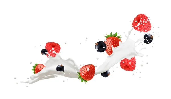 Realistic Milk Drink Swirl Splash Berries Drops Vector Food Spilled — Stock Vector
