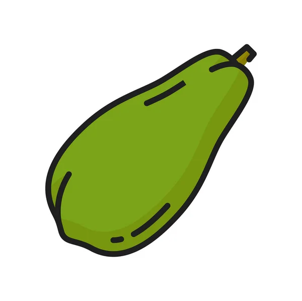 Grüne Papaya Exotische Früchte Farb Symbol Der Rohkost Dessert Dünner — Stockvektor