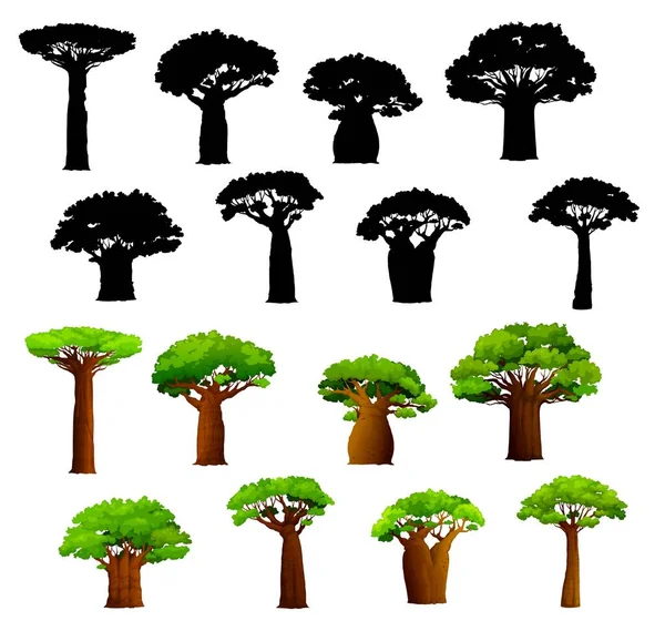 Baobab Africano Siluetas Vector Baobabs Sabana Africana Con Troncos Anchos — Vector de stock