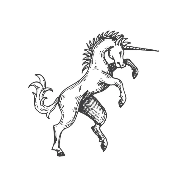 Bosquejo Heráldico Medieval Unicornio Bestia Fantasía Caballo Unicornio Leyenda Emblema — Vector de stock