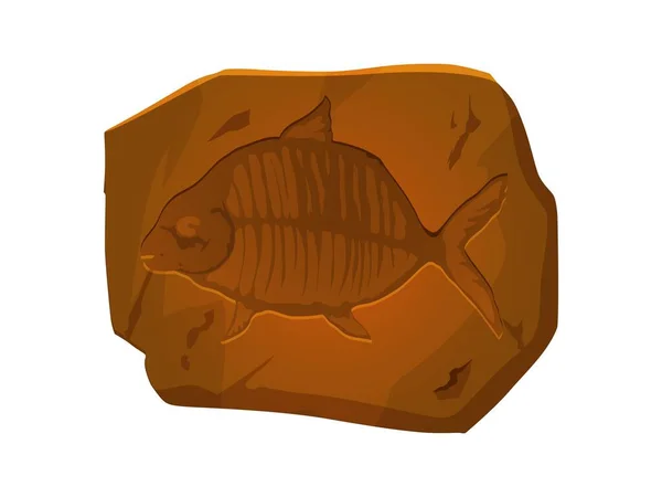 Ancient Fossil Fish Skeleton Imprint Stone Prehistoric Animal Bones Nature — Stock Vector