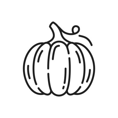Kabak kabağı kabağı kabağı ince çizgi simgesi ile izole edilmiş. Vektör Cadılar Bayramı sembolü, taze sebzeler kabak kabağı kabağı, sağlıklı yiyecekler.