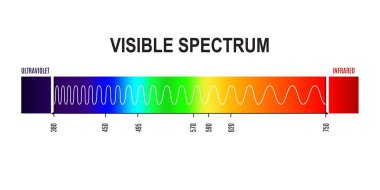 Dalga boyu, ultraviyole ışıktan kızılötesi frekansa görünür ışık dalgası. Fizik ve elektromanyetik vektör bilgisi gökkuşağı renk grafiği veya insan gözünün görünen ışık diyagramı