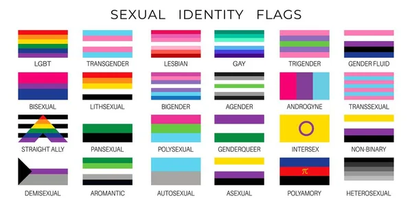 Hbtq Stolthet Flaggor Sexuell Mångfald Och Kön Identitet Vektor Symboler — Stock vektor