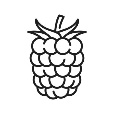 Ahududu izole edilmiş organik böğürtlen çizgisi ikonu. Sağlıklı yaz meyvesi, doğal tatlı. Yapraklı sulu ahududu, vejetaryen yemeği.