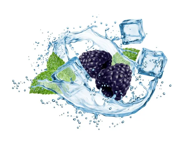 Water Splash Blackberry Berries Mint Green Leaves Realistic Vector Fresh — Stock Vector