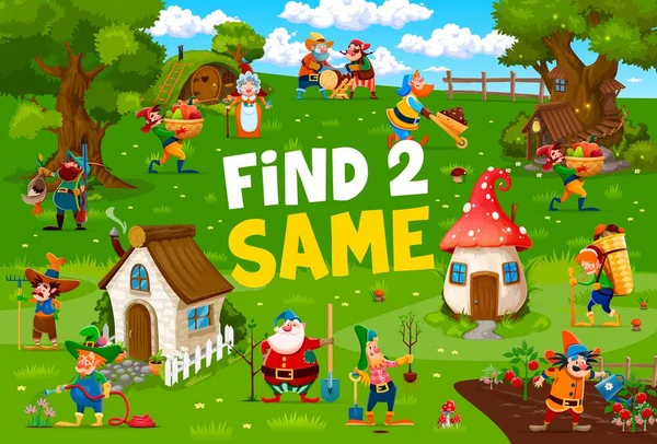 Find Two Same Cartoon Fairytale Funny Gnomes Village Vector Quiz — Stock Vector