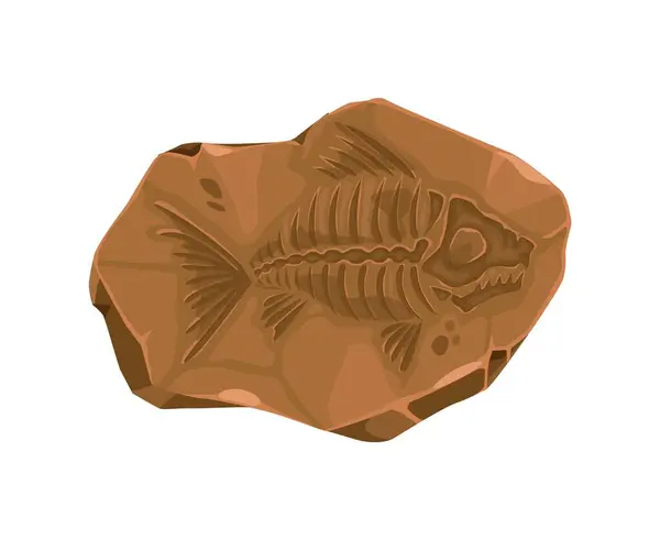 石に刻まれた古代の魚の化石 先史時代の水生動物の骨 絶滅した肉食魚の骨格古生物学博物館の石は隔離されたベクター化石を刻みました — ストックベクタ