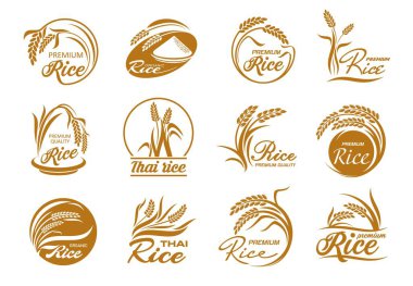 Mısır gevreği ve çeltik taneli pirinç ikonları. Tarım ekin bitkisi, kase ve tahıl tohumlarının vektör altın yaprakları yuvarlak çerçeveler halinde siluetler, thai ve yasemin pirinç paketleme etiketleri