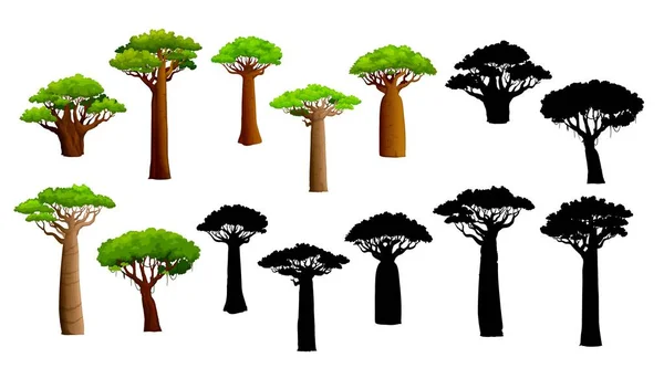 African Baobab Trees Silhouettes Isolated Vector Set Majestic Ancient Plants — Stock Vector