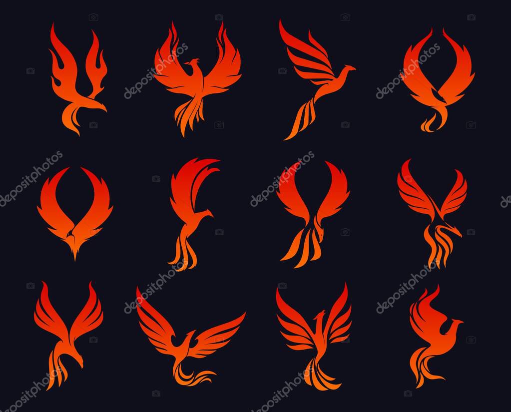 Phoenix bird icons, eagle fire silhouette flying on flame wings, vector emblems. Heraldic symbols or phoenix mascot tattoo, firebird falcon with flame feathers for luxury labels or corporate emblem