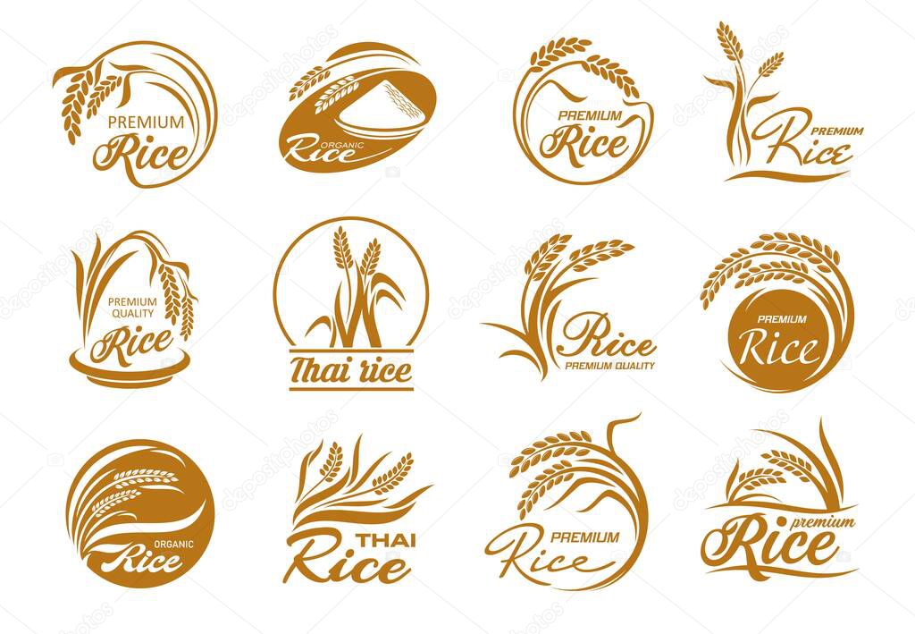 Rice icons with cereal plants and paddy grains. Vector gold leaves and seeds of farm field crop plant, bowl and grains pile silhouettes in round frames, thai and jasmine rice packaging labels set