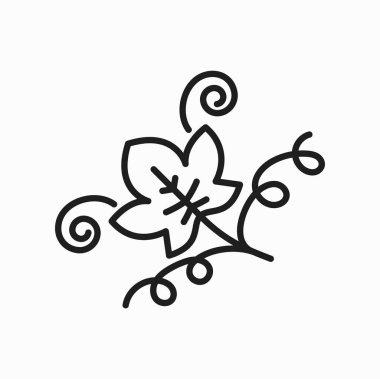 Yapraklar üzerindeki üzüm yaprağı dekoru ana taslak ikonu. Girdaplı vector isabella üzüm yaprağı, çizgili sanat asma dalı, şarap tabelası