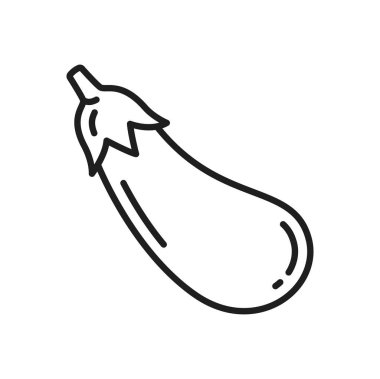 Patlıcan patlıcan ince çizgi ikonunu izole etti. Yenilebilir brinjal vejetaryen gıda, tarım ve tarım ürünlerinin vektör meyvesi, guibea squash