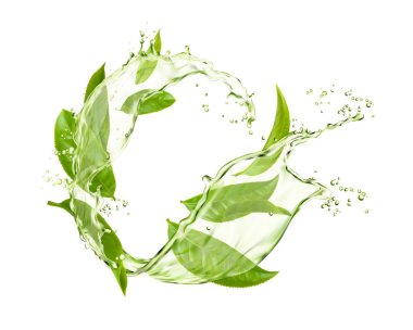 Akıp akan yeşil çay yaprakları ve damlalar. Aromatik içecek akışı gerçekçi, donmuş hareketi sıçratır. Bitki çayı ya da kahvaltı içeceği izole edilmiş üç boyutlu vektör damlacıkları, yeşil yapraklı girdaplar.