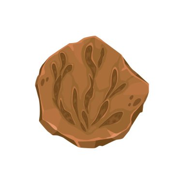 Antik fosil, taşta bitki izi. Jura dönemi okyanus flora su bitkisi taşı izi, nesli tükenmiş deniz yosunu parçası paleontoloji müzesi kayası veya tarih öncesi yosun doğa bilim müzesi vektörü fosil