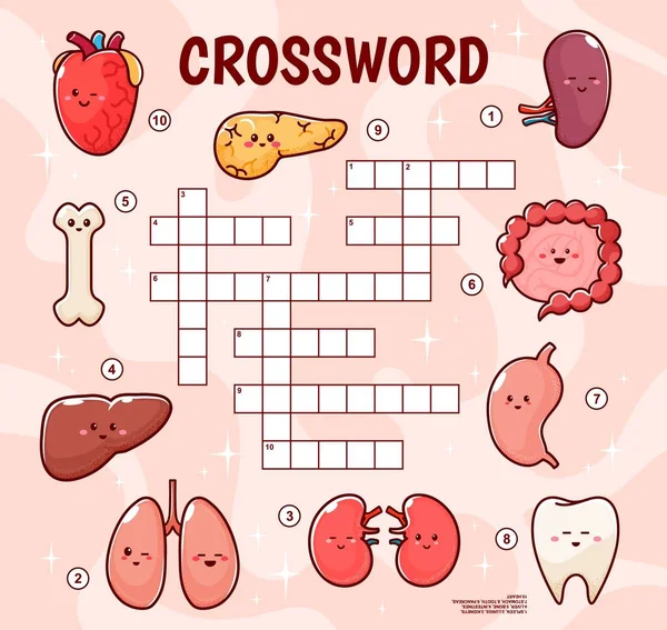 Kreuzworträtsel Spiel Gitter Charaktere Menschlicher Körperorgane Kreuzworträtsel Vokabelquiz Vektor Arbeitsblatt — Stockvektor