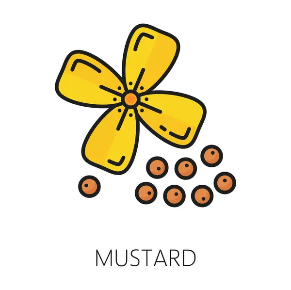 Plante Moutarde Avec Fleur Jaune Gousse Icône Contour Condiment Des — Image vectorielle