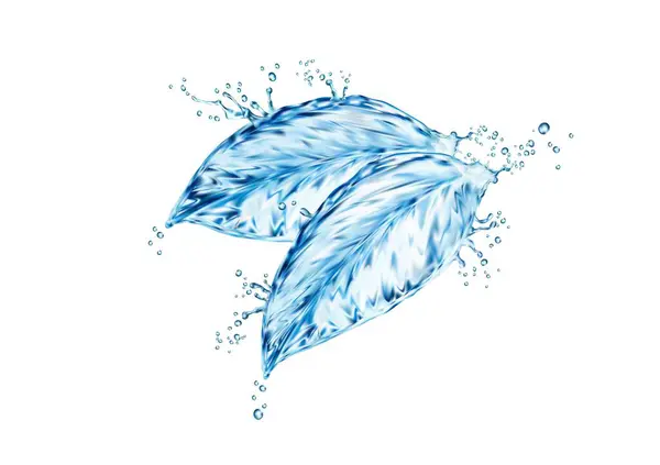 Water Splash Leaf Isolated Realistic Vector Captivating Splashing Resembling Delicate — Stock Vector