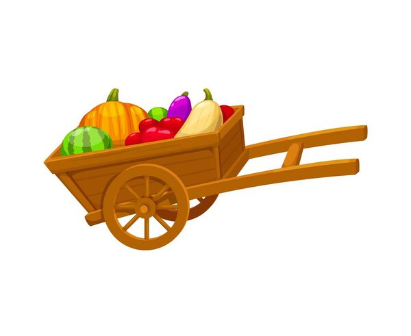 Overflowing cartoon wooden garden wheelbarrow with bountiful harvest of fresh fruits and vegetables. Isolated vector colorful pumpkin, watermelon, squash, eggplant or tomatoes abundance, farm goodness
