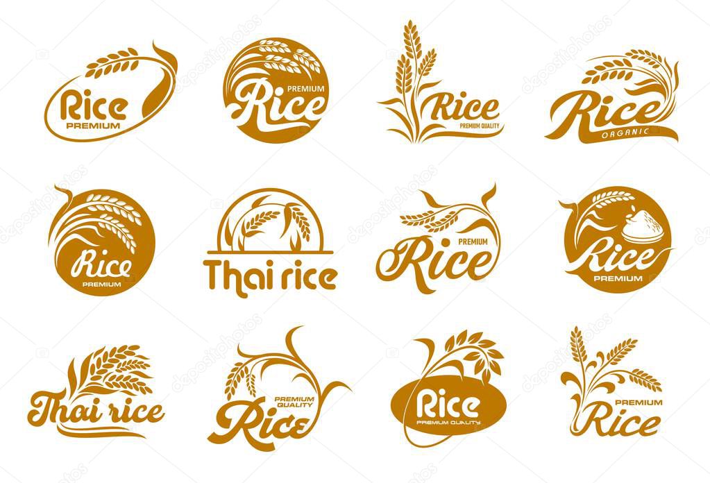 Rice icons, organic grain food and farm plant seeds package label, vector brown symbols. Natural rice product packaging icons with Thai rice ear on field for premium quality food products and cereals