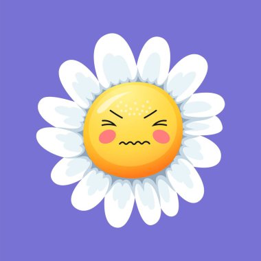 Çizgi film papatya gülüşü, kızgın papatya çiçeği ya da sinirli papatya emojisi, vektör yüzlü karakter. Papatya çayı ya da papatya çiçeği kaşlarını çatmış ve mutsuz, kızgın çocuk gülüşlü, komik ifade.