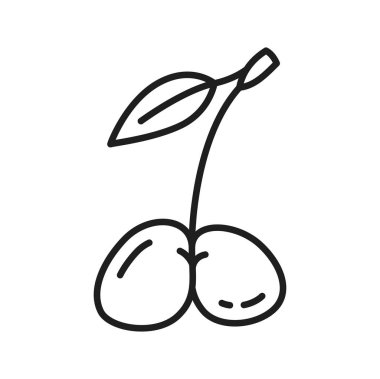 Olgun kirazlar, yapraklı iki organik dut ince çizgi ikonu. Taze meyveli meyveler, sağlıklı beslenme. Sapında iki kiraz