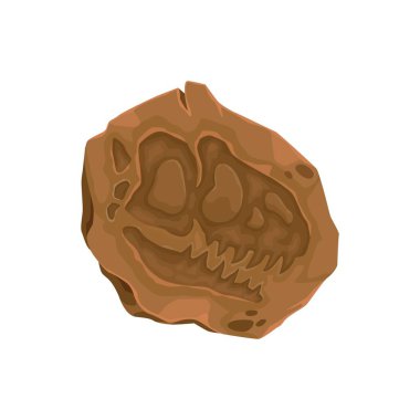 Taştaki antik dinozor fosili, kafatası izi. Dinozor kafatası damgalı taşlaşmış toprak katmanı. Arkeolojik ve paleontolojik kazı, tarih öncesi hayvanlar ve yaratıklar üzerine çalışmalar