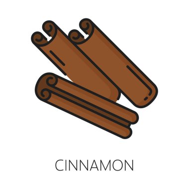 Yuvarlanmış tarçın çubukları, aşçılık çeşni rengi taslak ikonu. Vektör çeşnisi, kokulu bitki, spa aromalı baharat.