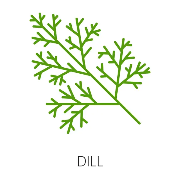Green Dill Seasoning Herb Condiment Outline Icon Vector Dill Head — Stock Vector