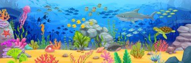 Deniz altı manzaralı uzun bir afiş. Çizgi film köpekbalığı ve kaplumbağa, balık sürüleri, deniz yosunları ve kumun dibindeki mercanlar. Denizanası, denizatı, denizyıldızı ve vatoz ile mavi su dalgaları.