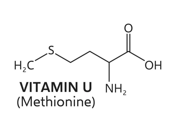 Vitamin Vagy Metilmetionin Szulfónium Klorid Képlet Metionin Származék Szénből Hidrogénből — Stock Vector