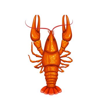 Kerevit ya da kerevit, karikatür deniz ürünleri ve deniz ürünleri gurme yemeği, izole edilmiş vektör. Deniz ürünleri pişirme ve balıkçılık pazarı ya da taze kerevit ürün ikonu ya da mutfak yemeği için kerevit