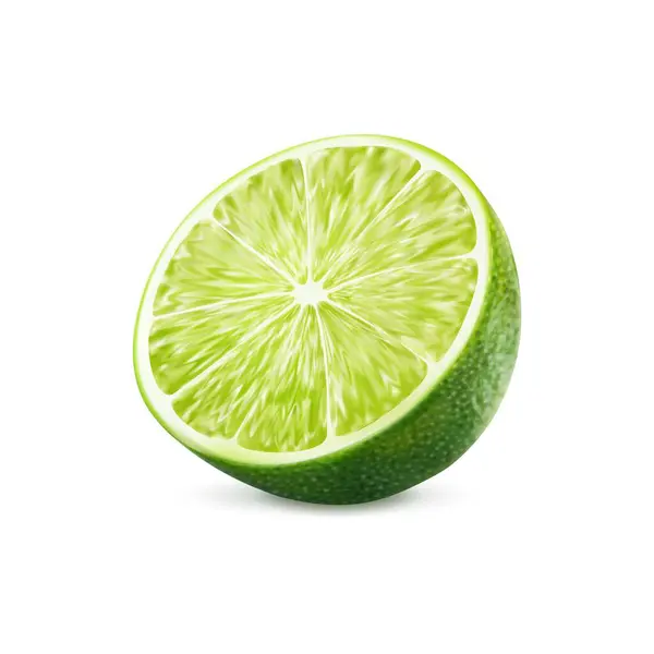 Realistiska Gröna Mogna Limefrukt Isolerade Halv Skiva Citrusfrukt Isolerad Vektor — Stock vektor