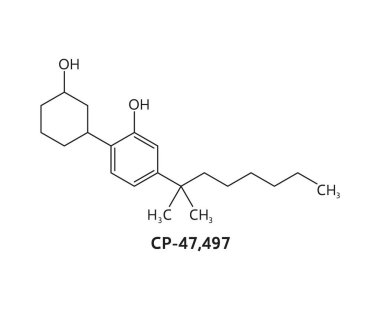 CP 47,497 uyuşturucu molekülü ve kimyasal formül yapısı, vektör modeli. CP 47,497 sentetik veya Cannabicyclohexanol organik cannabinoid ve moleküler formülde psikoaktif ilaç