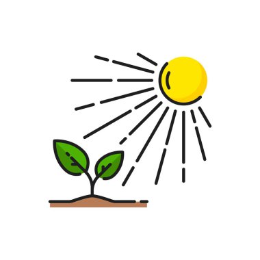 Bitki yetiştirme ikonu, yeşil yapraklı filizler güneşin altında, vektör sembolü. Tarım, bahçıvanlık ağaç veya bitki yetiştirme, çiftlik ve bahçe tarım sembolü doğrusal tarım ikonu
