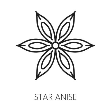 Anason yıldızı aroması, baharatlı baharat ana hatları ikonu. Vector Çin yıldızı anason ya da badian, tohumlu, anasonlu, kurutulmuş yıldız şekilli staranise