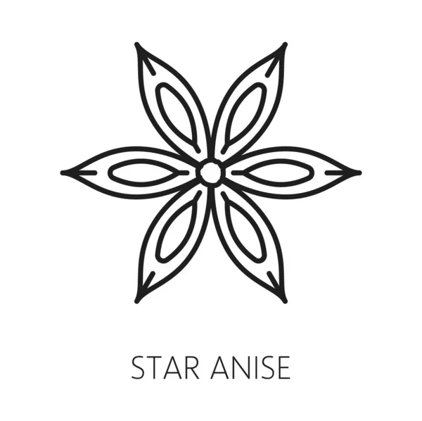Anise Star Aroma Seasoning Spicy Condiment Outline Icon Vector Chinese — Stock Vector